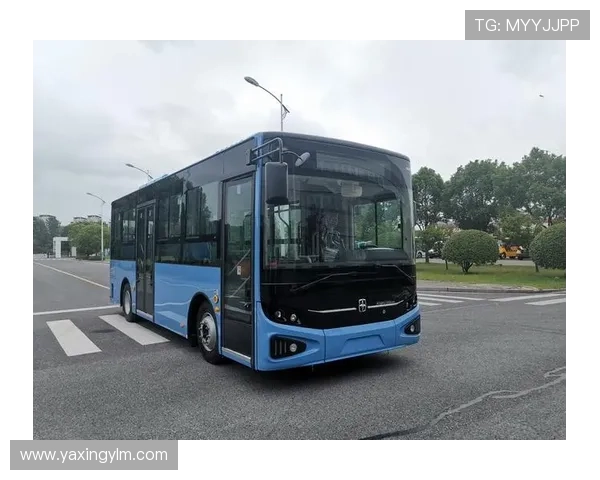 亚星客车股份有限公司的环保节能技术应用与绿色制造实践，推动可持续发展目标实现