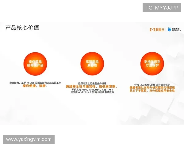 亚星娱乐app手机安全性分析，保障用户个人信息和资金安全的实用建议